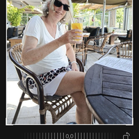 Willemien van den Brink - de Jong